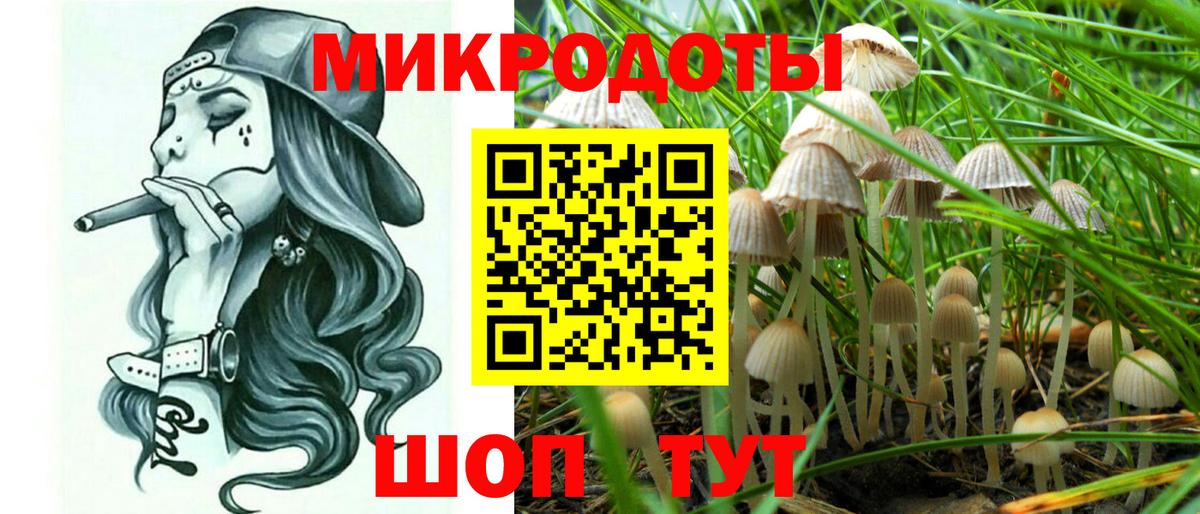 Россия  Псилоцибиновые грибы мухоморы  Вход с VPN  Галлюциногенные грибы Psilocybe 